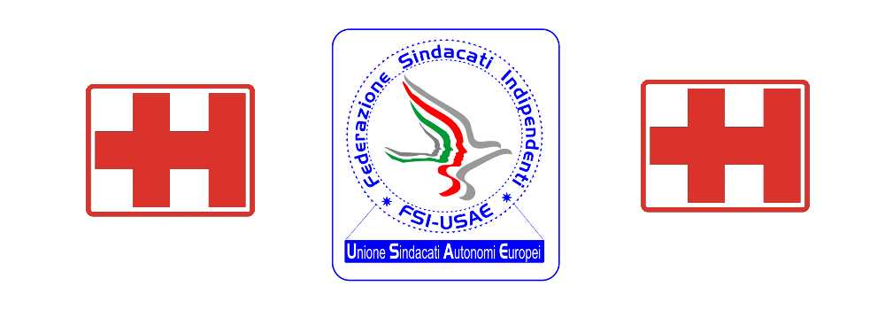 FSI-USAE EXPOSANITA