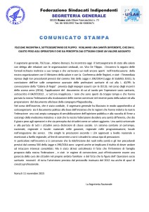 FSI-comunicato-11-novembre-2015- fsi usae incontra il sottosegretario de filippo